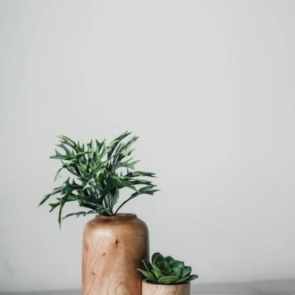 Wooden Planter Set